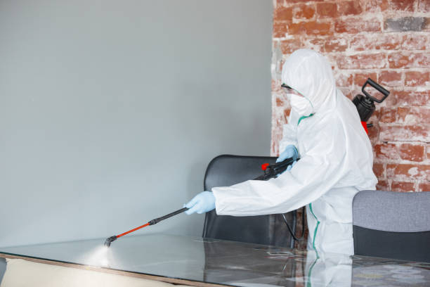 Why You Should Choose Our Mold Remediation Services in Richmond Heights, MO